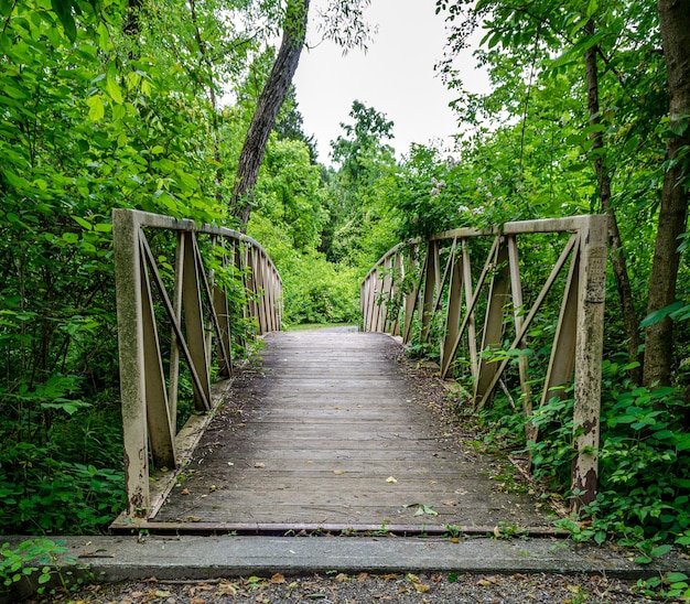 Brückenweg in einem Park