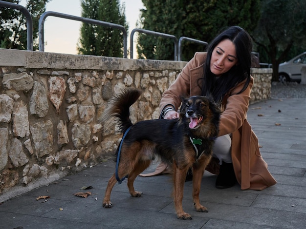 Brünette Frau spielt mit kleinem Hund