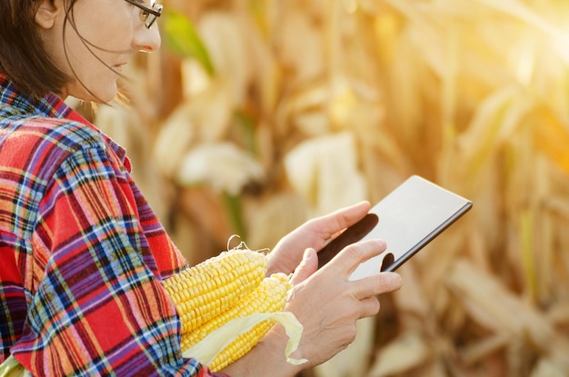 Brünette kaukasische Landarbeiterin mittleren Alters in Brille mit digitalem Tablet, die an einem sonnigen Sommertag Maisfelder inspiziert