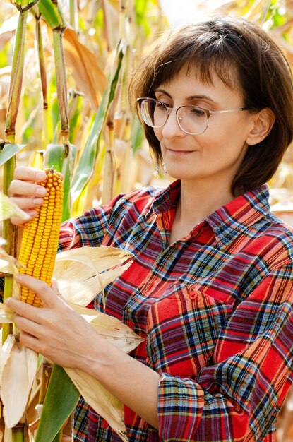 Brünette kaukasische Landarbeiterin mittleren Alters mit Brille, die Maiskolben am sonnigen Sommertag auf dem Feld inspiziert