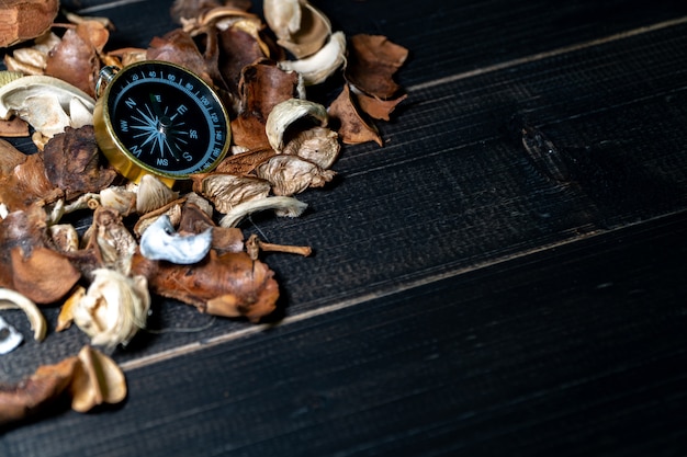 Brújula dorada puesta en hojas secas en mesa de madera retro negro