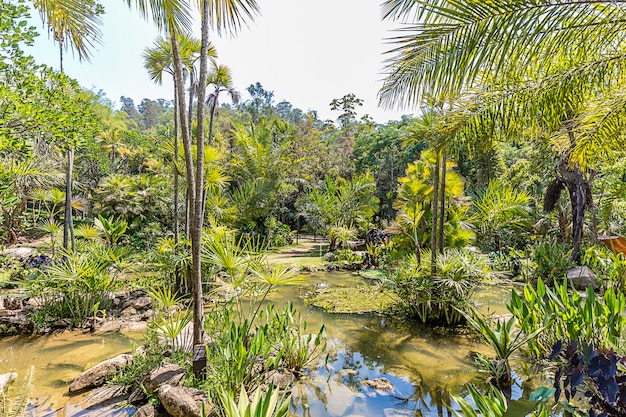 Brumadinho, minas gerais, brasil. vista dos jardins do inhotim