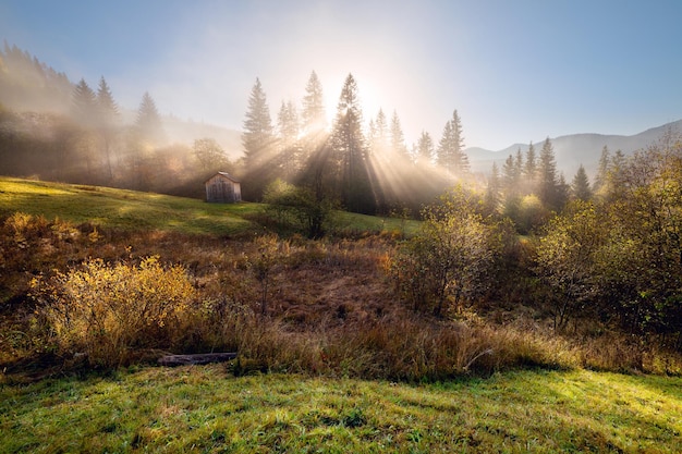 Brumosa mañana de otoño en las colinas de la montaña