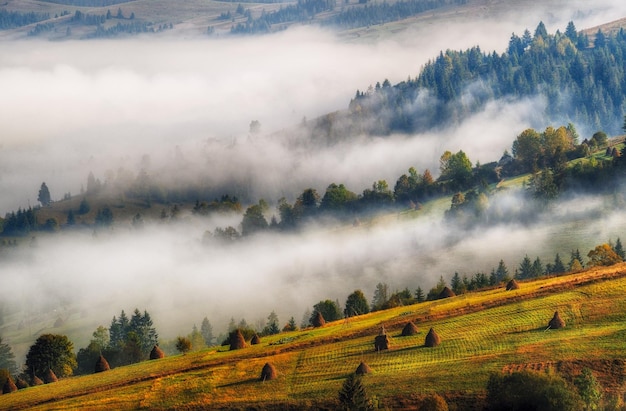 brumosa mañana de otoño en las montañas de los Cárpatos