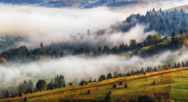 brumosa mañana de otoño en las montañas de los Cárpatos