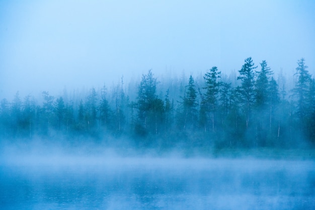 Brumosa mañana en el río Bahta. Siberia oriental, Rusia