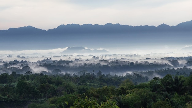 Brumosa mañana sobre las montañas