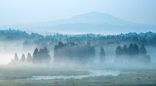 Brumoso amanecer en el río, bosque escondido en la niebla