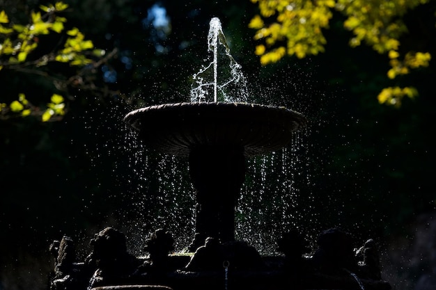 Foto brunnen im park