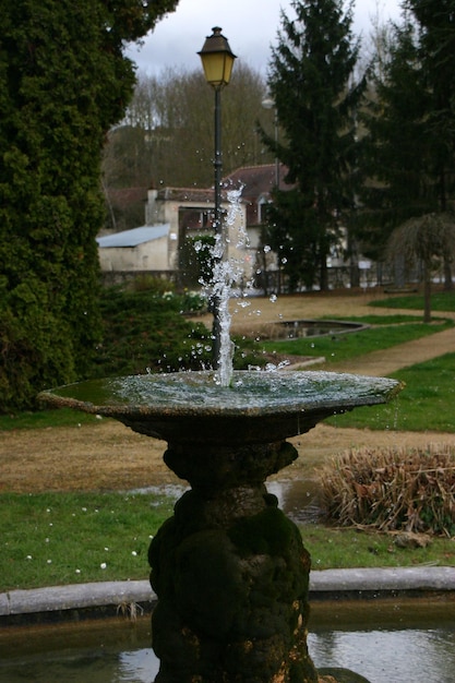 Foto brunnen im park