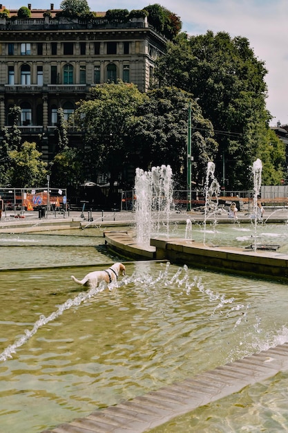 Brunnen im Zentrum der Stadt