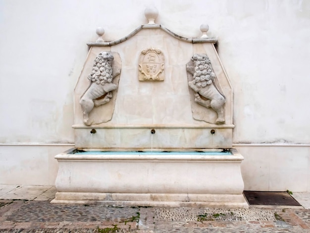 Brunnen mit zügellosen Löwen auf der Hauptfassade des Bildungsgebäudes Obra Pia in Cabra