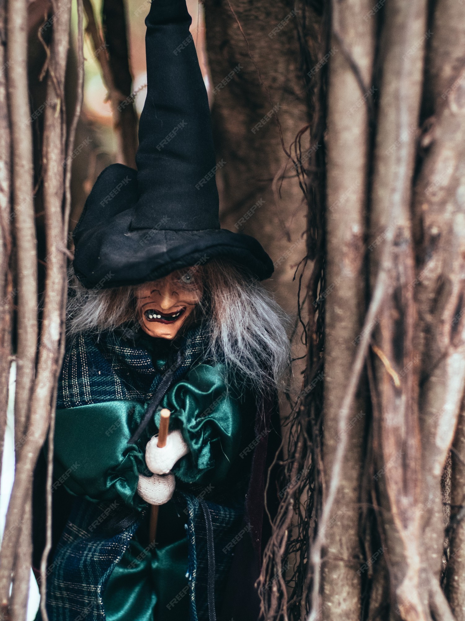 Foto de Bruxa Bonita Com Pele Verde e mais fotos de stock de Dia das Bruxas  - Dia das Bruxas, Maquiagem de Palco, Adulto - iStock