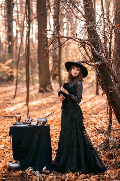 Bruxa na floresta de outono. Uma mulher com um gato preto se prepara para o Halloween.