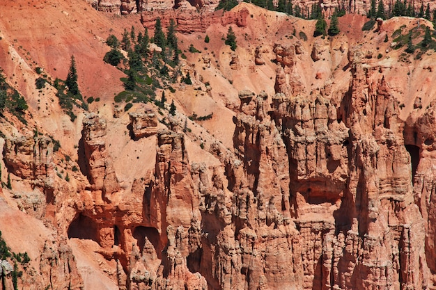 Bryce canyon em utah, eua