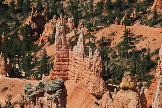 Bryce canyon em utah, eua