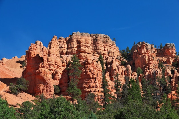 Bryce Canyon in Utah, USA