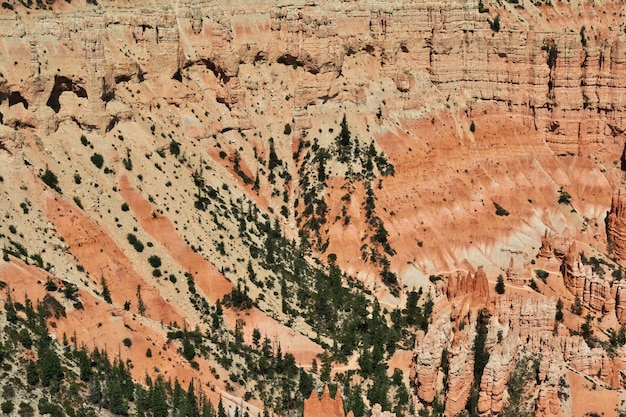 Bryce Canyon in Utah, USA