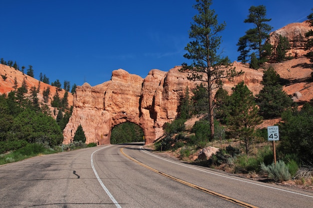 Bryce Canyon in Utah, USA