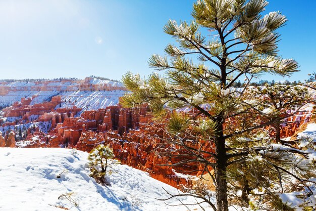 Bryce Canyon mit Schnee in der Wintersaison.