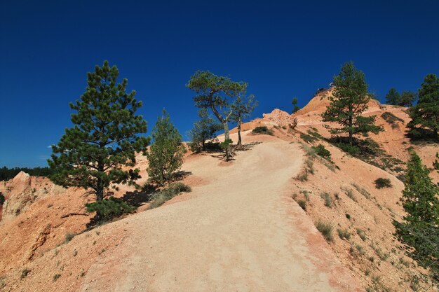 Bryce Canyon en Utah, EE.UU.