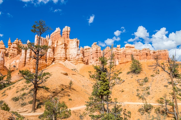 Bryce canyon