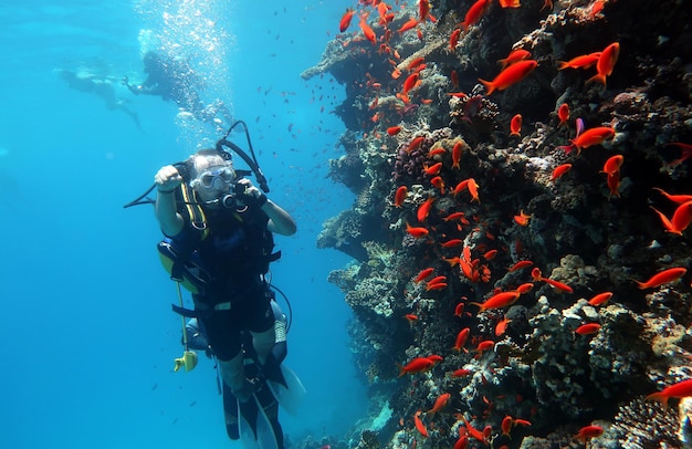 Buceo en el Mar Rojo en el arrecife tropical de Egipto