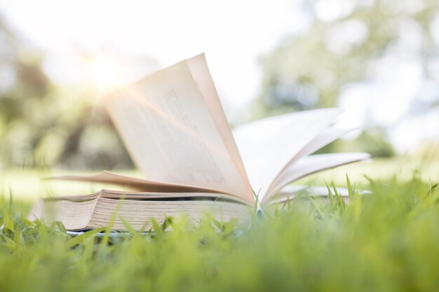 Buch auf grünem Gras, Lernen und Wissenskonzept