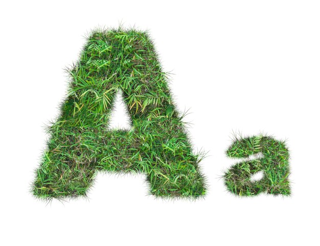 Buchstabe A auf grünem Gras isoliert