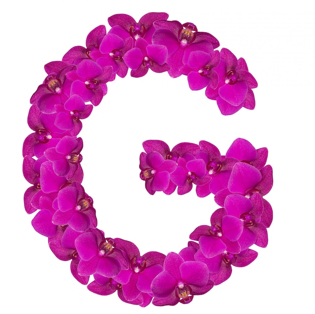 Buchstabe G aus rosa Blütenblättern