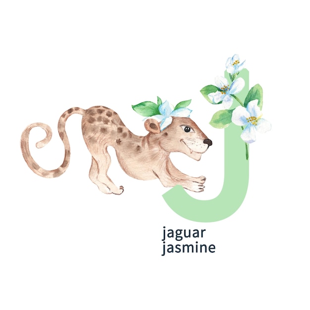 Buchstabe J Jaguar mit Jasmin süße Kinder bunte Tiere und Blumen ABC-Alphabet Aquarellillustration isoliert auf weißem Hintergrund