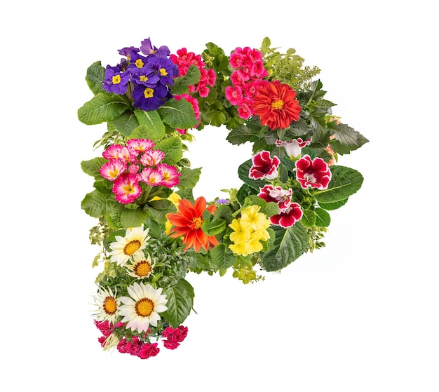 Buchstabe P aus verschiedenen bunten Blumen