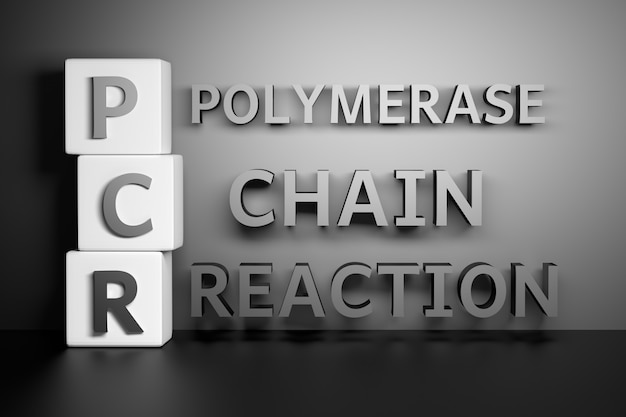 Buchstaben PCR steht für Polymerasekettenreaktion