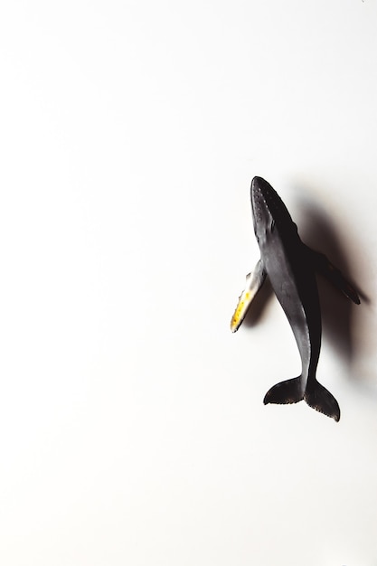 Buckelwal-Spielzeug auf weißem Hintergrund.