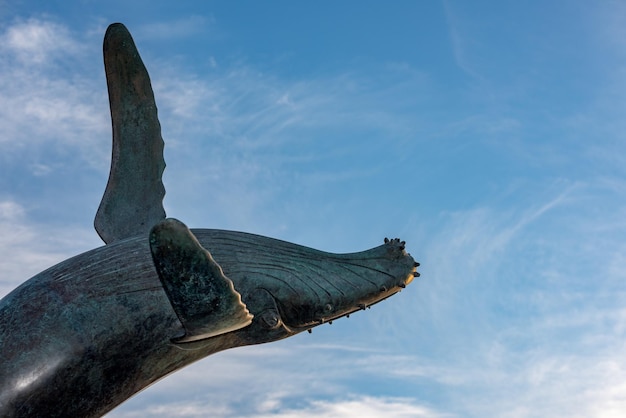 Buckelwal-Statue in La Paz