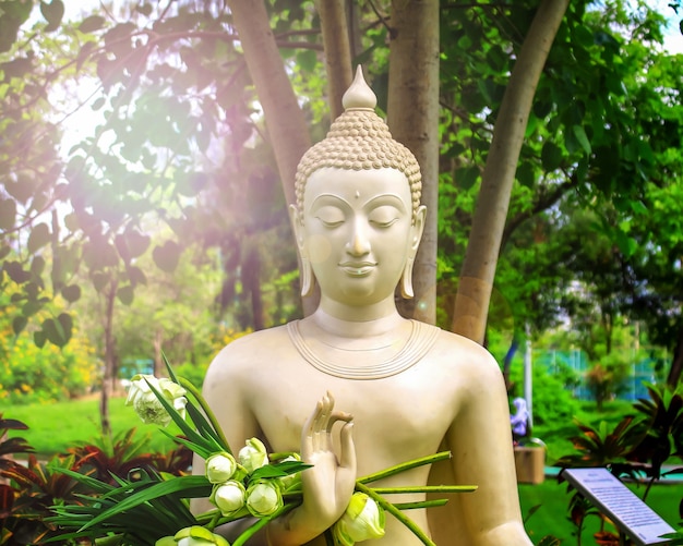 Buda se encuentra en el medio del jardín con flores de loto en el jardín.