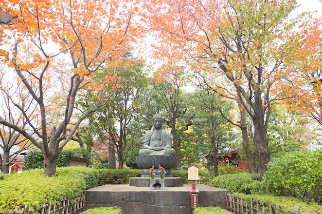 Buda no parque