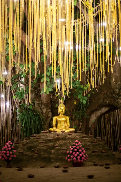 Buda de oro bajo el árbol Bodhi entre linternas en el templo Phan Tao