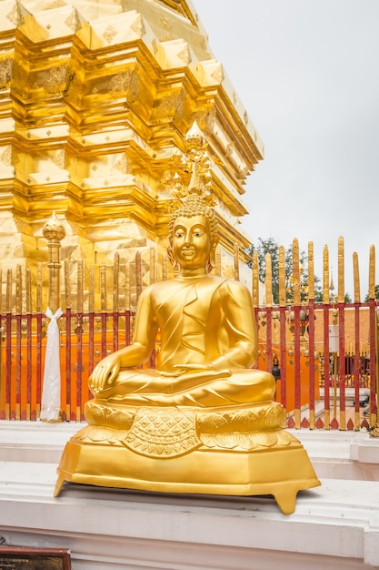 Buda de oro en el templo Chiang Mai Asia Tailandia