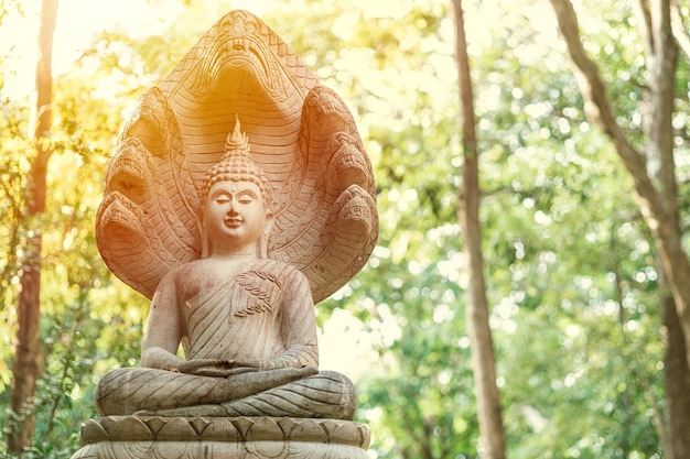 Foto buda protegido con estatua de piedra naka en el bosque