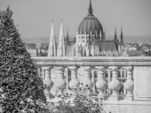 Foto budaest en el danubio