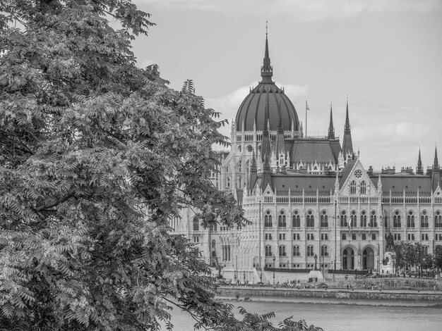 Foto budapest en el danubio