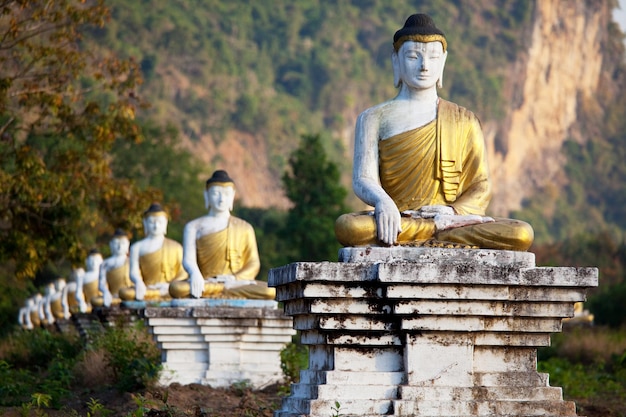 buddha estátua