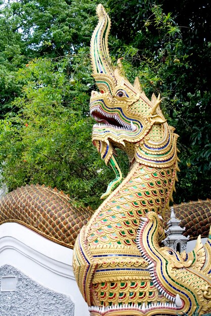 Foto buddha-statue gegen den tempel