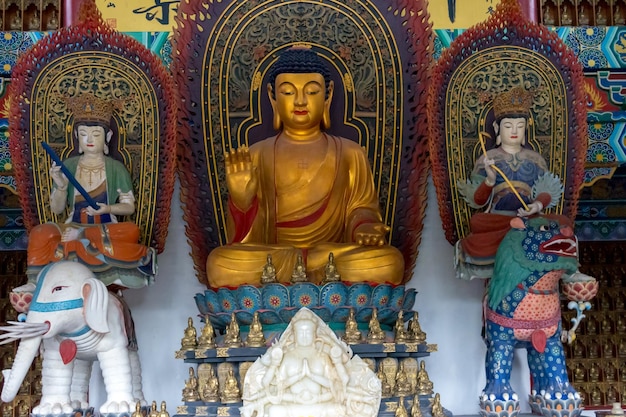 Buddha-Statue im Tempel außerhalb des Gebäudes