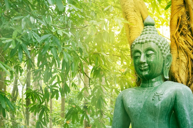 Foto buddha-statue im wald