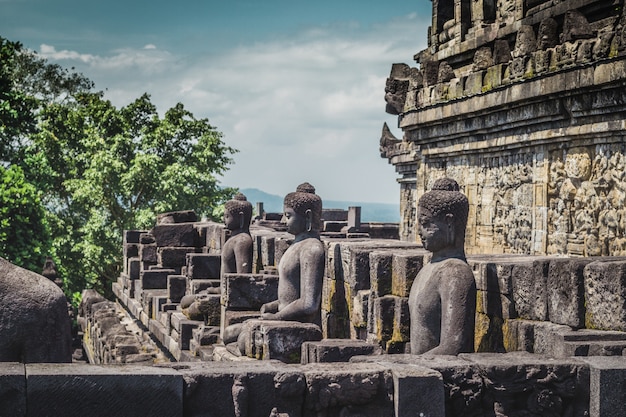 Buddha-Statuen im buddhistischen Tempel von Borobudur in Yogyakarta. Java, Indonesien