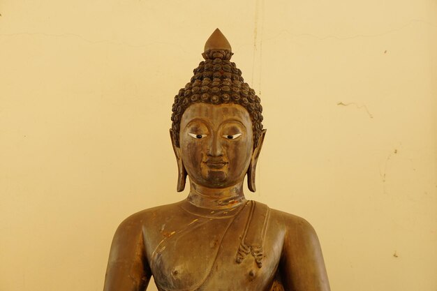 Buddha-Statuen sind wunderschön arrangiert