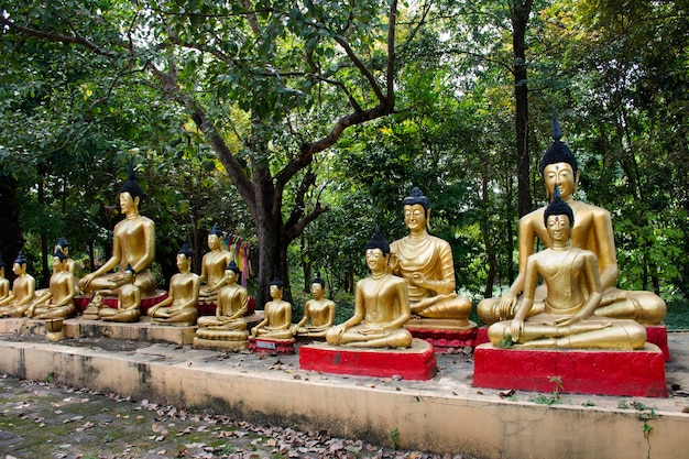 Buddha-Statuen Wat Dusitaram Tempel in Phra Nakhon Si Ayutthaya Thailand