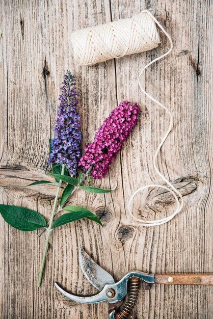 Buddleja flores con podadora sobre fondo de madera